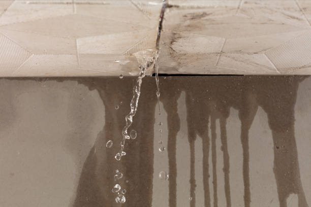 Professional Structural Drying technician working in Freeport, IL